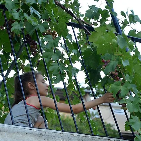 Arhontiko Mansion 3* Askas