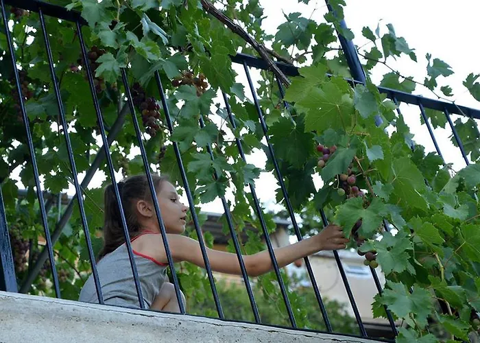 Arhontiko Mansion 3* Askas