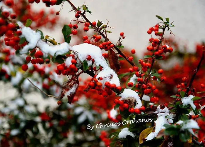 Pensionat Arhontiko Mansion 3*