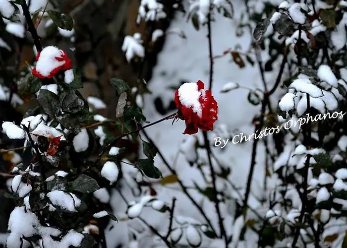 Arhontiko Mansion Πανσιόν 3*